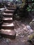 CONCRETE STEPS LEADING TO HIGHER GROUND