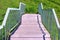 Concrete steps, metal blue railing and green grass