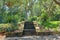 Concrete Steps In A Shaded Nature Park