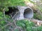 Concrete stone pipes for draining water in the sewer an abandoned hole in the river in the forest