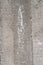 Concrete texture grey white spill dirty copy space for text fine detail sharp