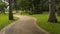 Concrete walk way in the park.