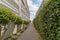 Concrete walkway in the middle of topiary shrubs in La Jolla, California