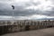 Concrete walkway with white metal painted railings and floodlights at the end of a pier with the sea in the background