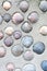 A concrete wall with shells texture, background. Plaster wall