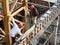 Concreting work by construction workers at the construction site.