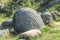 Concretions growing up, old trovant natural formed, cement sand, Romania Europe, close up