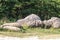 Concretions growing up, old trovant natural formed, cement sand, Romania Europe, close up