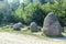 Concretions growing up, old trovant natural formed, cement sand, Romania Europe, close up