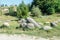 Concretions growing up, old trovant natural formed, cement sand, Romania Europe, close up