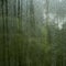 Condensation droplets in a window glass