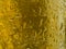 Condensation on gold beer bottle