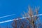 Condensation trace highlighted by the setting sun behind a twin-engine turbojet passenger plane in the March sky