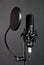 Condenser microphone