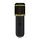 Condenser Microphone in Black Gold color 3d Vector illustration