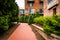 Condominiums and bushes along a brick pathway in Fells Point, Ba