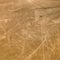 Condor geoglyph, Nazca mysterious lines and geoglyphs