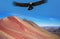 Condor over Rainbow hills