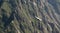 Condors above the Colca canyon at Condor Cross or Cruz Del Condor viewpoint, Chivay, Peru