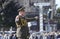 Conductor holds a stick in a hand making gesture for a military band to play music. Military parade