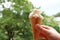 Cone. ice cream. Summer. Boy eating ice cream.