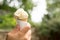 A cone with a scoop of vanilla ice cream held in a causasian male hand outdoors with a garden in the background