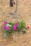 Cone wicker hanging basket with pink and white petunia flowers