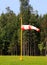 Cone-windsock on the background of trees