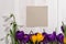 Coner from crocus and snowdrops on wooden background