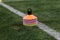 Cones in football field. Coath arranged colorful markers in trainning grassfield of football soccer stadium