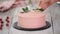 Confectioner decorates pink cake with roses. Series