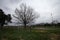 Confederate Cemetery, Eastern Flank Battlefield Park, Franklin, Tennessee