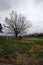 Confederate Cemetery, Eastern Flank Battlefield Park, Franklin, Tennessee