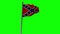 Confederate flag on greenscreen