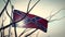 Confederate flag waving on a flagpole - animation