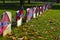 Confederate Flags on Civil War Graves