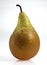 Conference Pear, pyrus communis, Fruit against White Background