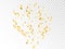 Confetti gold explosion on transparent backdrop. Golden burst with decoration elements. Bright flying ribbon