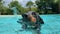 Confident Dachshund Swimming in the Pool