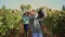 Confident farmer carrying bucket with freshly picked white grapes in vineyard during autumn harvest