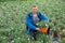 Confident farmer working with osteospermum ecklonis seedlings in greenhouse