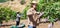 Confident hired employee harvesting mango in garden