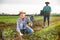 Confident hired employee harvesting red mustard in garden