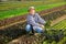 Confident hired employee harvesting red mustard in garden