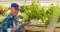 Confident male gardener examining potted flower plant