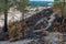 Conflagration.- burned forest. Nature landscape- national park