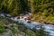 Confluence, water, current, stream, stone, the wood, the tumbled-down tree