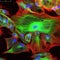 Confocal microscopy of fibroblast cells