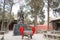 Confucius Statue at Wuwei Confucian Temple (Wuwei Wen Miao). a famous historic site in Wuwei, Gansu, China.