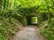 Cong Woodland and Forest Pathway with Bridge